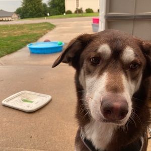 Meet your Posher, Cole